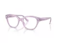 Swarovski Brillen SK 2038 1075 53