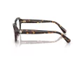 Swarovski Brillen SK 2039 1002 50