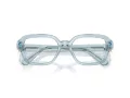 Swarovski Brillen 2039 1065