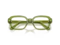 Swarovski Brillen SK 2039 3002 52