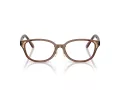 Swarovski Brillen SK 2040D 1067