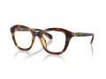 Swarovski Brillen SK 2042U 1002 50