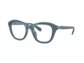 Swarovski Brillen SK 2042U 1035 48
