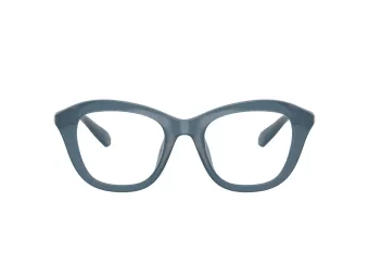 Swarovski Brillen SK 2042U 1035 50