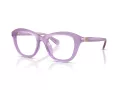 Swarovski Brillen SK 2042U 1075 50