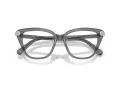 Swarovski Brillen SK 2045 1072 52
