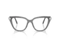 Swarovski Brillen SK 2045 1072 52