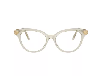 Swarovski Brillen SK 2046 3003