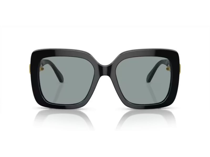 Swarovski Sonnenbrille SK 6001 1001/1