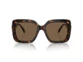 Swarovski Sonnenbrille SK 6001 100273