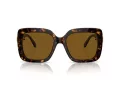 Swarovski Sonnenbrille SK 6001 100283