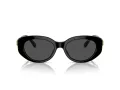 Swarovski Sonnenbrille SK 6002 100187