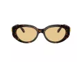 Swarovski Sonnenbrille SK 6002 1002/8