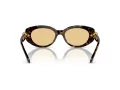 Swarovski Sonnenbrille SK 6002 1002/8