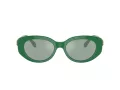 Swarovski Sonnenbrille SK 6002 10079C