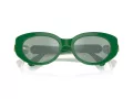 Swarovski Sonnenbrille SK 6002 10079C