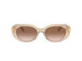Swarovski Sonnenbrille SK 6002 103413