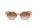 Swarovski Sonnenbrille SK 6002 103413