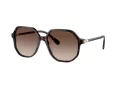 Swarovski Sonnenbrille SK 6003 100213