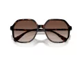 Swarovski Sonnenbrille SK 6003 100213
