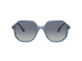 Swarovski Sonnenbrille SK 6003 10354L