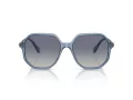 Swarovski Sonnenbrille SK 6003 10354L