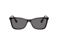 Swarovski Sonnenbrille SK 6004 100181