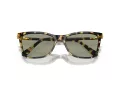 Swarovski Sonnenbrille SK 6004 1009/2
