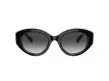 Swarovski Sonnenbrille SK 6005 10018G