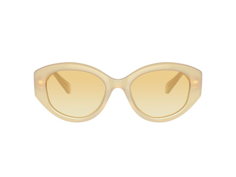Swarovski Sonnenbrille SK 6005 10232Q