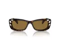 Swarovski Sonnenbrille SK 6008 100273