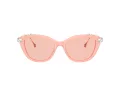 Swarovski Sonnenbrille SK 6010 1041/5