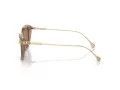 Swarovski Sonnenbrille SK 6010 2002OK