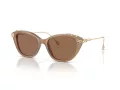 Swarovski Sonnenbrille SK 6010 2002OK