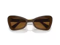 Swarovski Sonnenbrille SK 6012 101173
