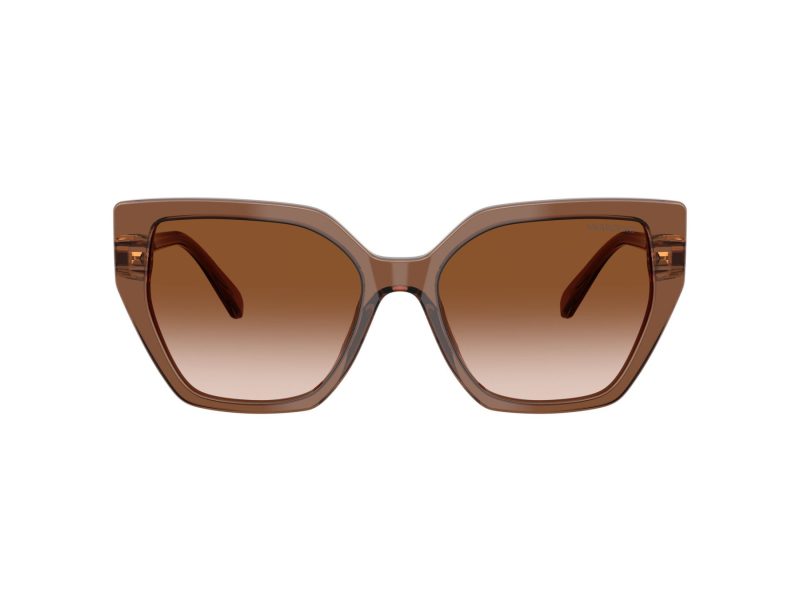 Swarovski Sonnenbrille SK 6016 106713