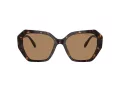 Swarovski Sonnenbrille SK 6017 1002M4