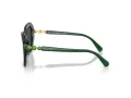 Swarovski Sonnenbrille SK 6017 104587
