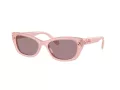 Swarovski Sonnenbrille SK 6019 10317N