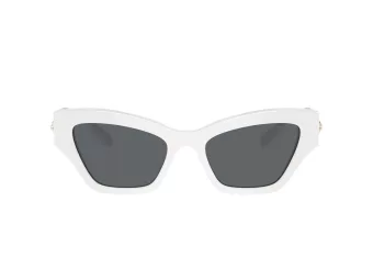 Swarovski Sonnenbrille SK 6021 105087