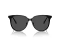 Swarovski Sonnenbrille SK 6023D 100187