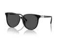 Swarovski Sonnenbrille SK 6023D 100187
