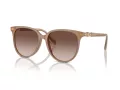 Swarovski Sonnenbrille SK 6023D 200213