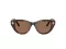 100273