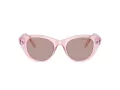 Swarovski Sonnenbrille SK 6025 30017N