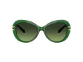 Swarovski Sonnenbrille SK 6026 10642A