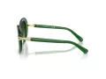 Swarovski Sonnenbrille SK 6026 10642A