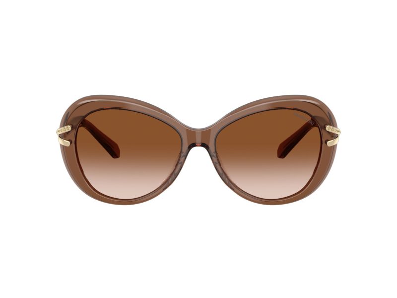 Swarovski Sonnenbrille SK 6026 106713