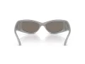 Swarovski Sonnenbrille SK 6027 10596G