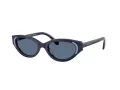 Swarovski Sonnenbrille SK 6030 100455